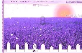 怎样炒菜不咸又有营养呢?——专业的问答网站