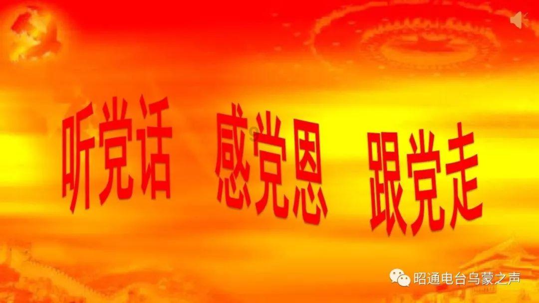 桂阳法院审结一起“知假买假”刑事案件